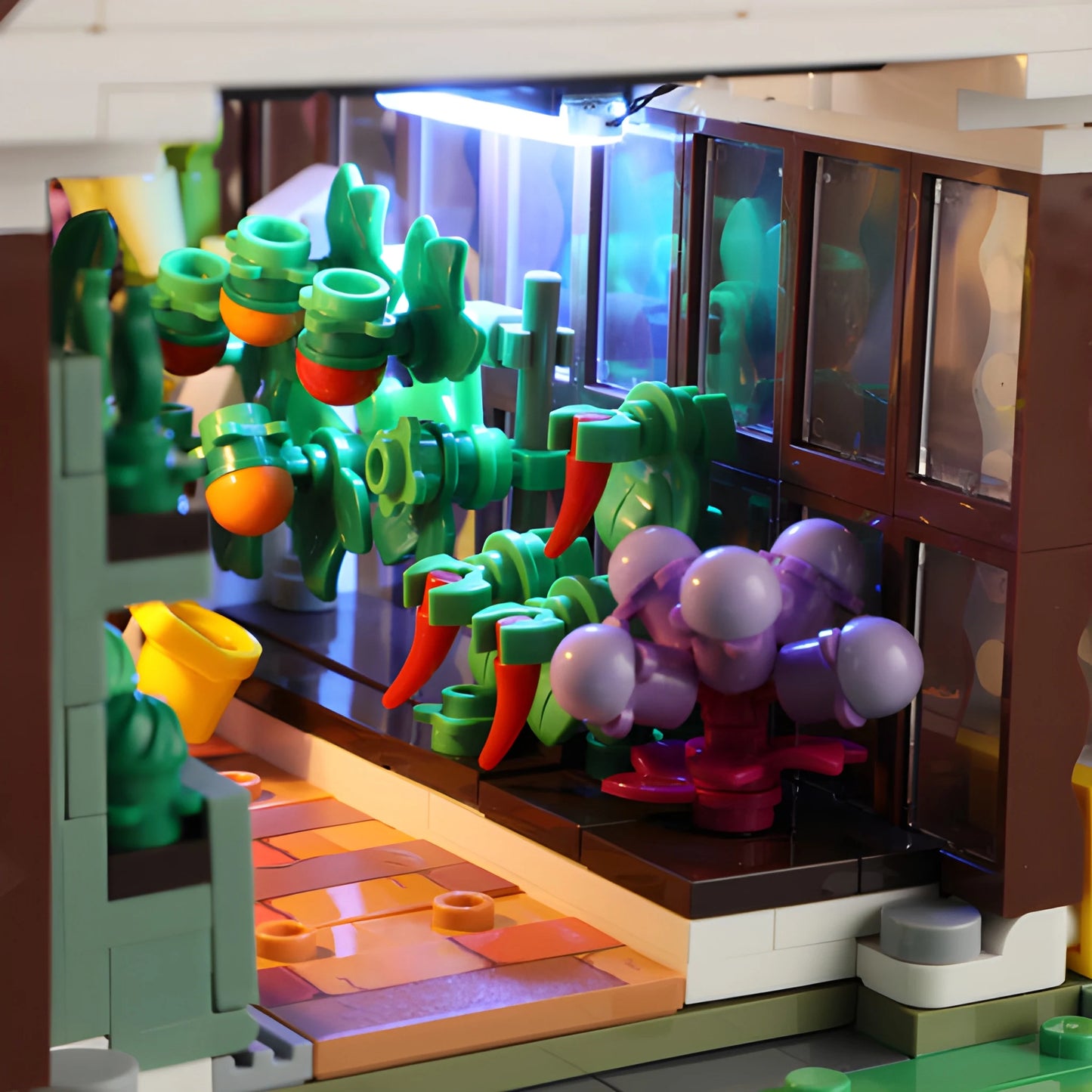 Home Greenhouse