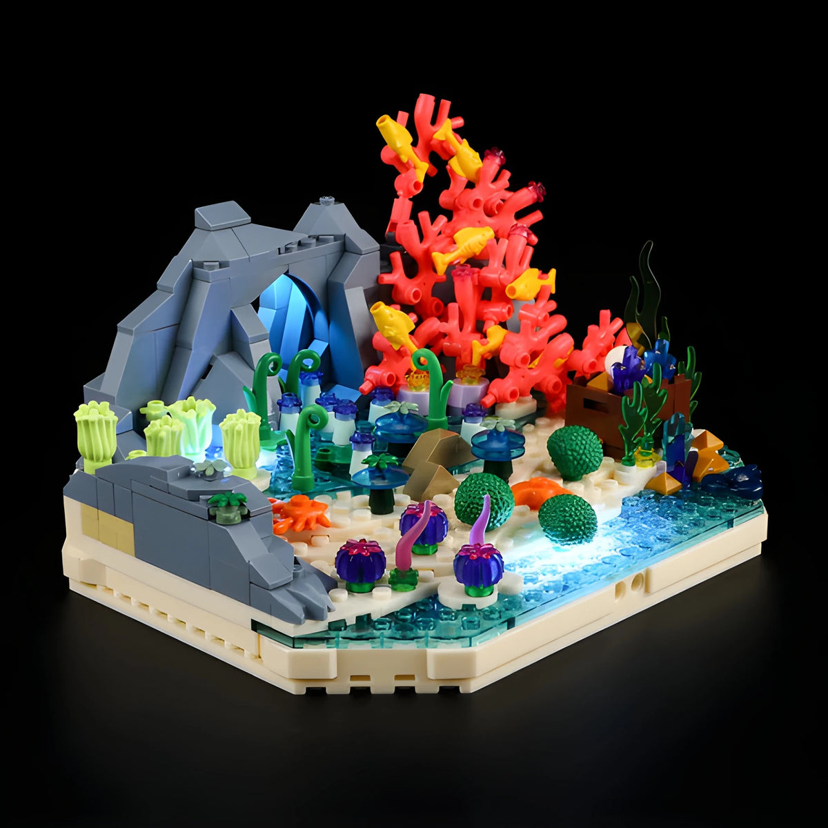 Turtle Reef Dream